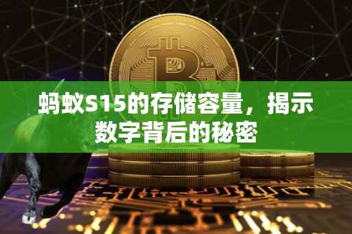 蚂蚁S15的存储容量，揭示数字背后的秘密