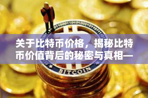 关于比特币价格，揭秘比特币价值背后的秘密与真相——以当前市场价值2700比特币为例