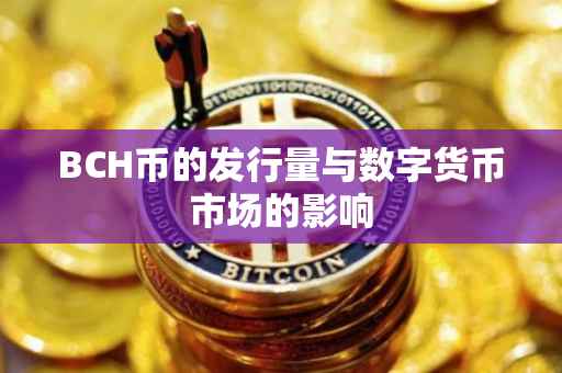 BCH币的发行量与数字货币市场的影响