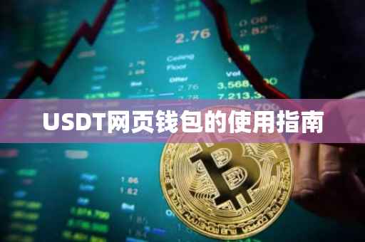 USDT网页钱包的使用指南