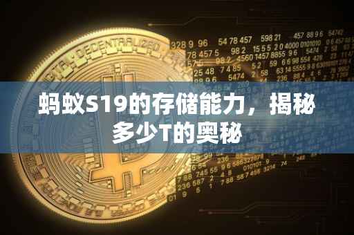 蚂蚁S19的存储能力，揭秘多少T的奥秘