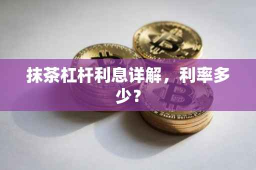 抹茶杠杆利息详解，利率多少？