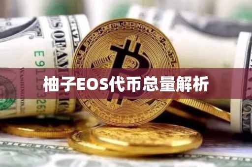 柚子EOS代币总量解析