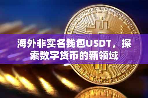 海外非实名钱包USDT，探索数字货币的新领域