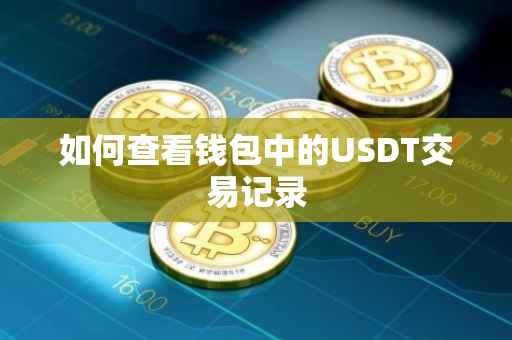 如何查看钱包中的USDT交易记录