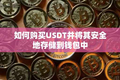 如何购买USDT并将其安全地存储到钱包中