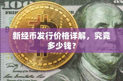 新经币发行价格详解，究竟多少钱？