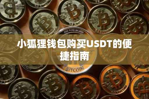 小狐狸钱包购买USDT的便捷指南