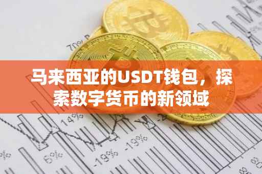 马来西亚的USDT钱包，探索数字货币的新领域