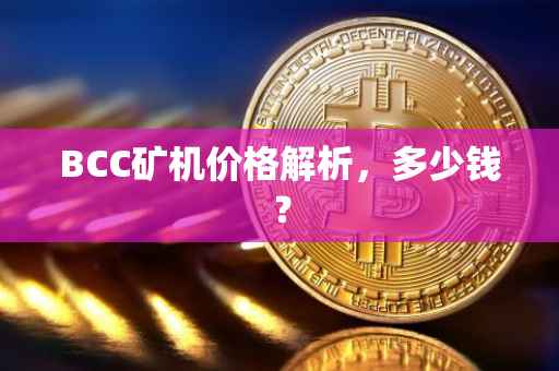 BCC矿机价格解析，多少钱？