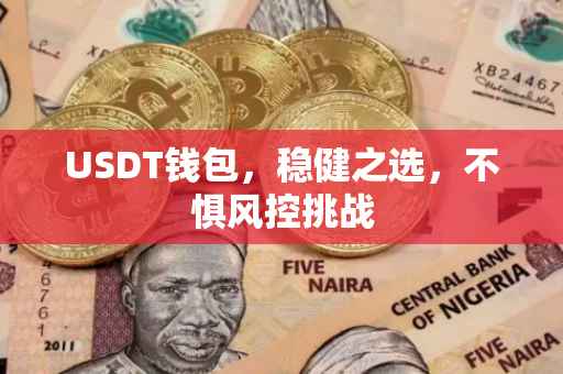 USDT钱包，稳健之选，不惧风控挑战