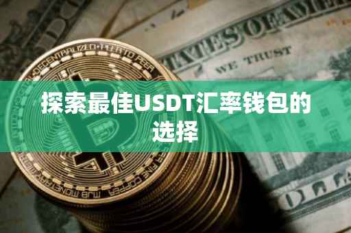 探索最佳USDT汇率钱包的选择