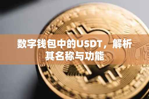数字钱包中的USDT，解析其名称与功能
