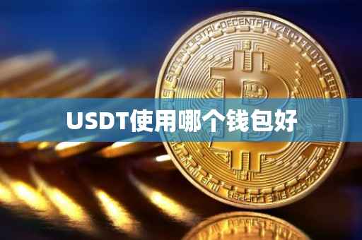 USDT使用哪个钱包好