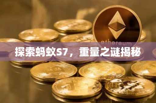 探索蚂蚁S7，重量之谜揭秘