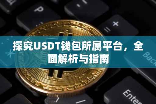 探究USDT钱包所属平台，全面解析与指南