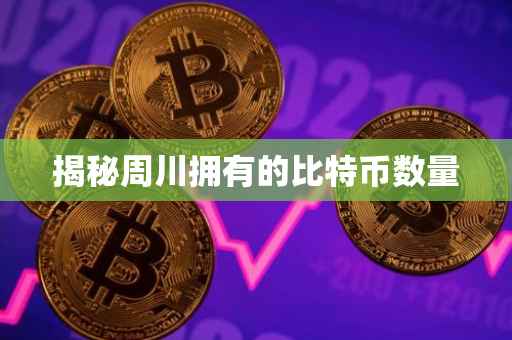揭秘周川拥有的比特币数量