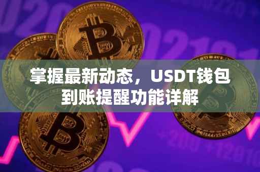 掌握最新动态，USDT钱包到账提醒功能详解