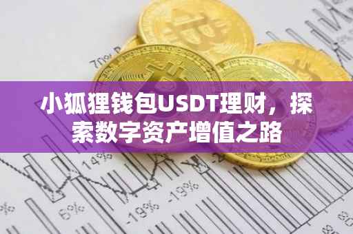 小狐狸钱包USDT理财，探索数字资产增值之路