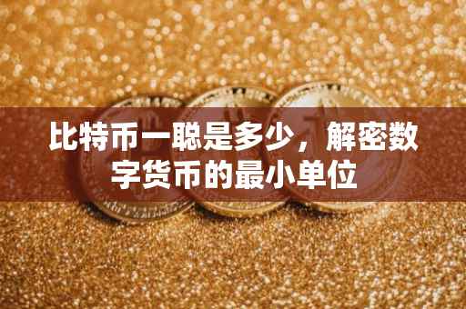 比特币一聪是多少，解密数字货币的最小单位