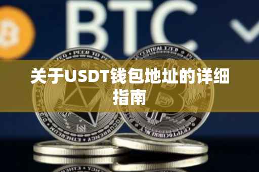 关于USDT钱包地址的详细指南