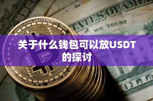 关于什么钱包可以放USDT的探讨