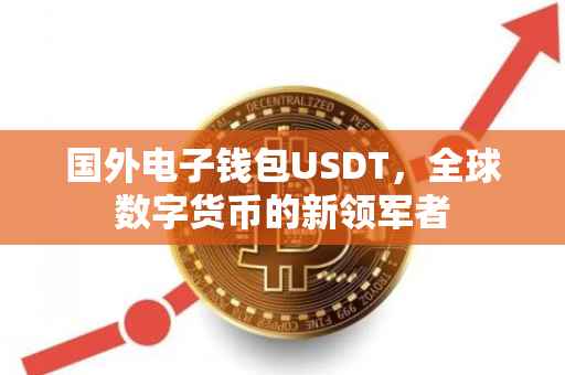 国外电子钱包USDT，全球数字货币的新领军者