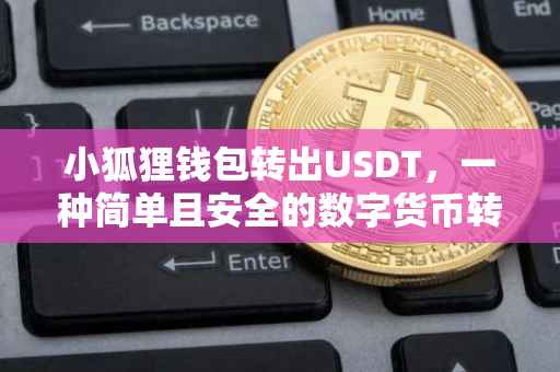 小狐狸钱包转出USDT，一种简单且安全的数字货币转移方式