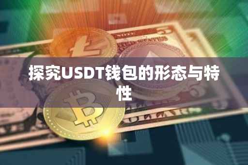 探究USDT钱包的形态与特性