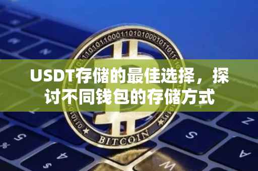 USDT存储的最佳选择，探讨不同钱包的存储方式