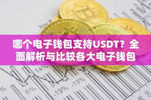 哪个电子钱包支持USDT？全面解析与比较各大电子钱包的USDT支持情况