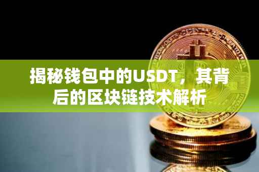 揭秘钱包中的USDT，其背后的区块链技术解析