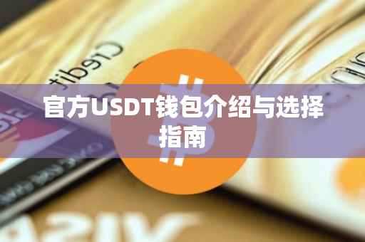 官方USDT钱包介绍与选择指南