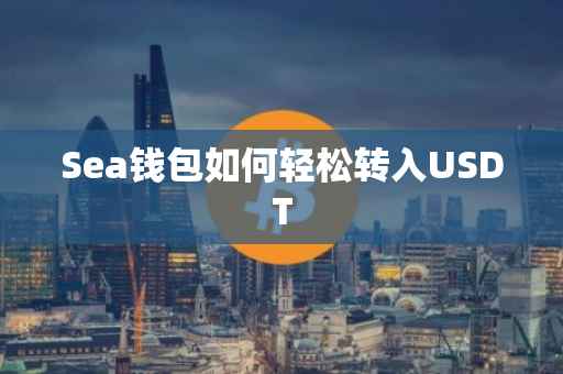 Sea钱包如何轻松转入USDT