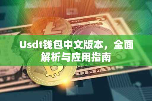 Usdt钱包中文版本，全面解析与应用指南