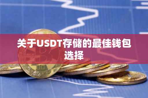 关于USDT存储的最佳钱包选择