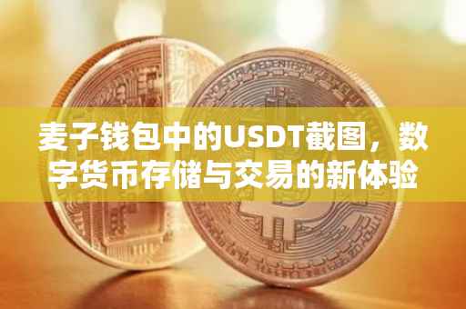 麦子钱包中的USDT截图，数字货币存储与交易的新体验