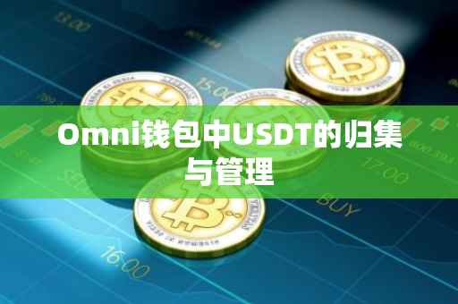 Omni钱包中USDT的归集与管理