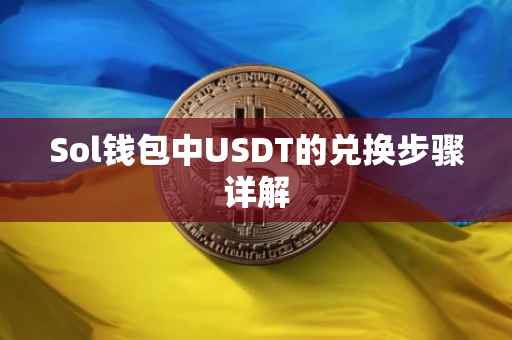Sol钱包中USDT的兑换步骤详解