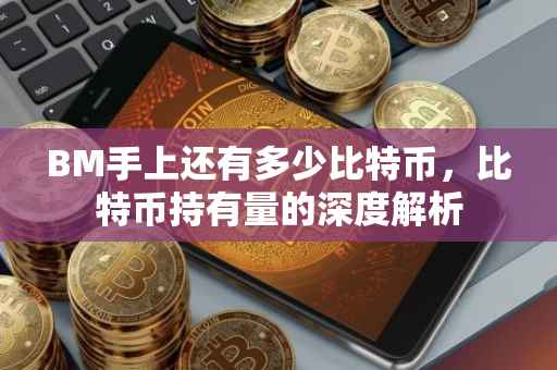 BM手上还有多少比特币，比特币持有量的深度解析