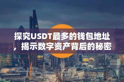 探究USDT最多的钱包地址，揭示数字资产背后的秘密