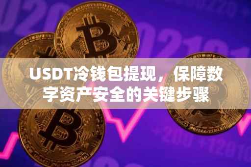 USDT冷钱包提现，保障数字资产安全的关键步骤