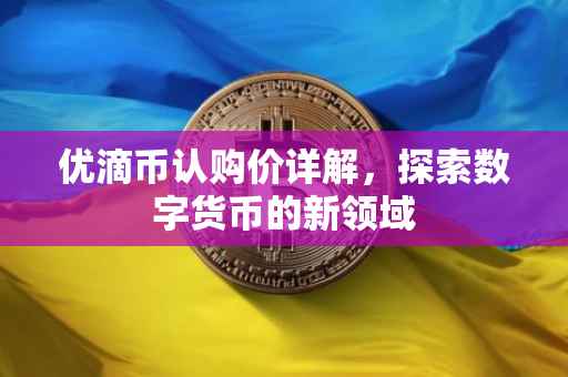 优滴币认购价详解，探索数字货币的新领域