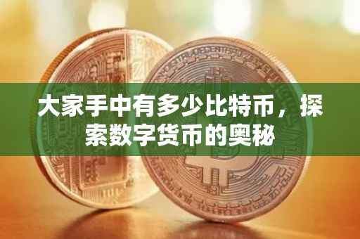大家手中有多少比特币，探索数字货币的奥秘