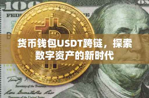 货币钱包USDT跨链，探索数字资产的新时代