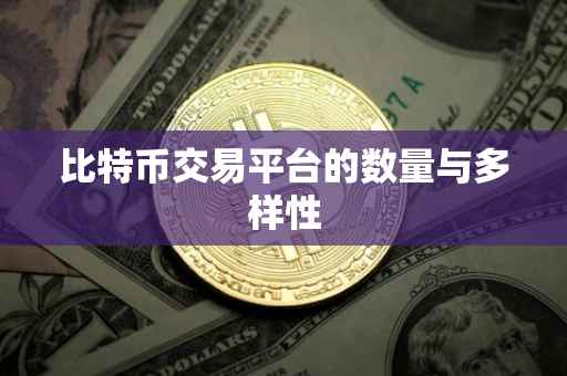比特币交易平台的数量与多样性