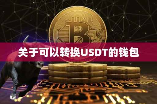 关于可以转换USDT的钱包