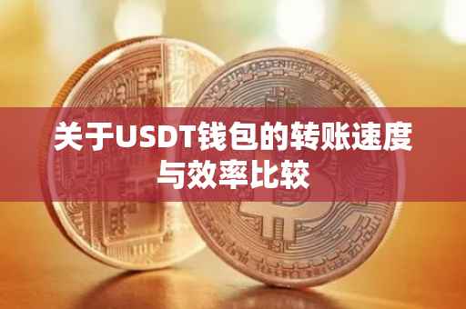 关于USDT钱包的转账速度与效率比较