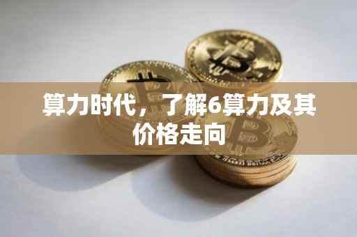 算力时代，了解6算力及其价格走向
