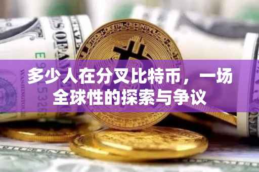 多少人在分叉比特币，一场全球性的探索与争议